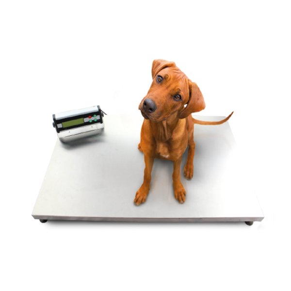 Equipos para veterinaria