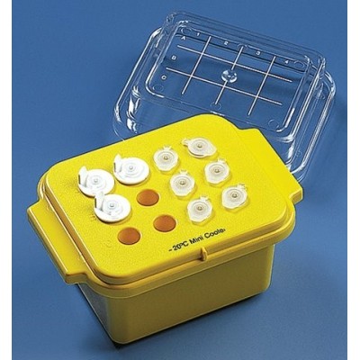 BRAND mini cooler
